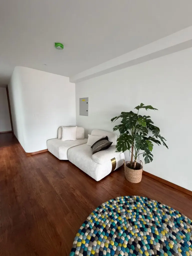 Brand-New 2.5-Storey Terrace Near CHIJ St Nicholas, image 5